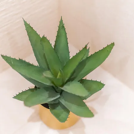 Πανσιόν Samstag