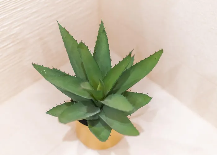 בית הארחה Samstag